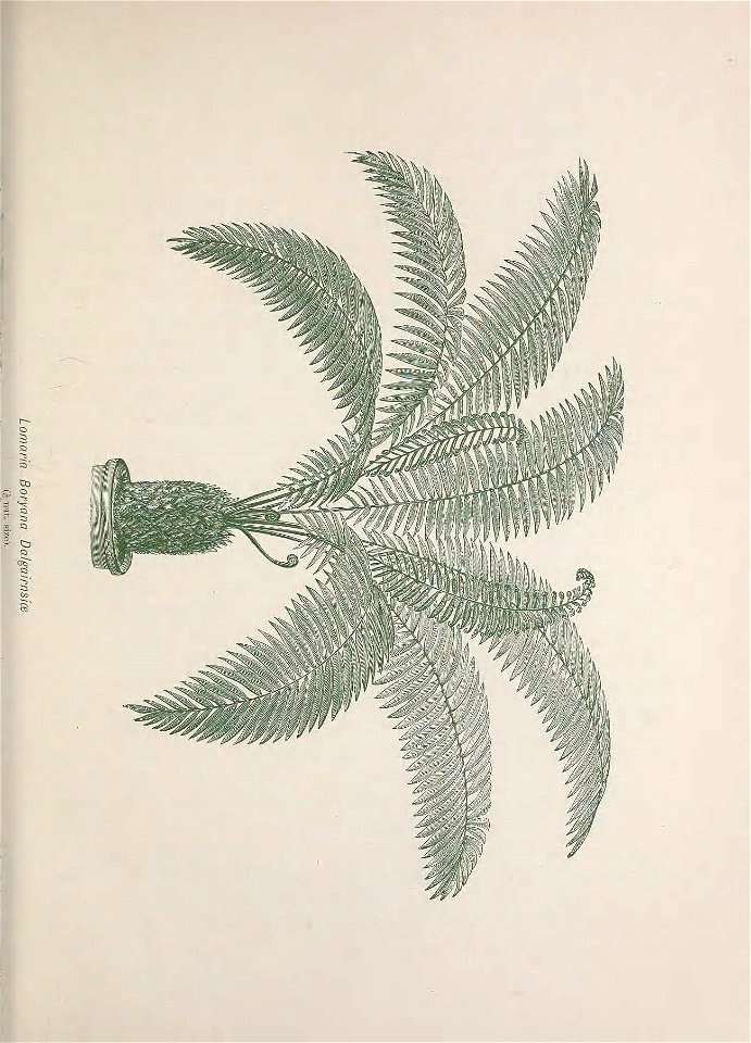 n520_w1150