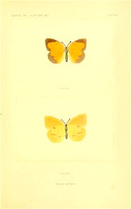 n262_w1150
