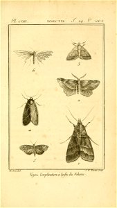 n662_w1150