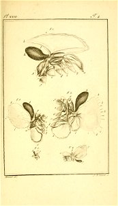 n878_w1150