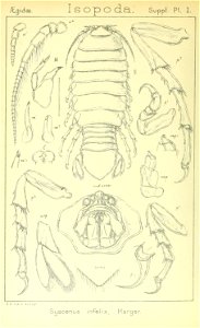 n487_w1150