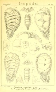n456_w1150