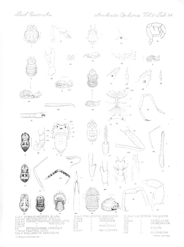 n731_w1150