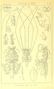 n399_w1150