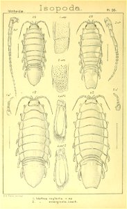 n355_w1150