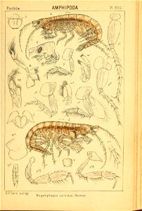 n218_w1150