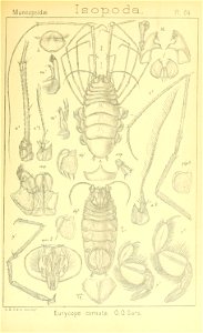 n412_w1150