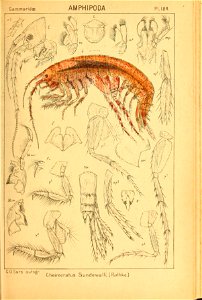 n202_w1150