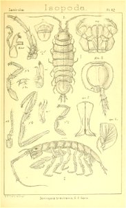 n368_w1150