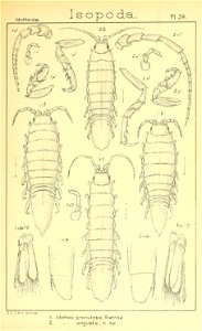 n352_w1150