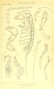 n288_w1150