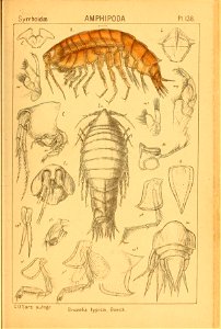 n156_w1150