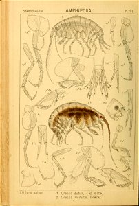n117_w1150