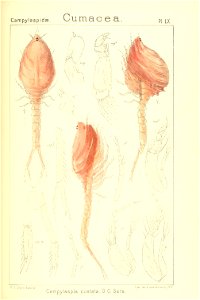 n252_w1150