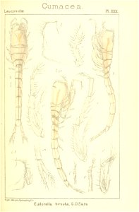 n192_w1150