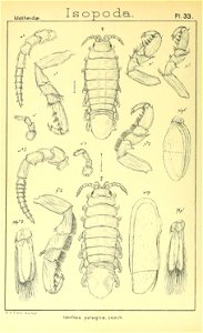n351_w1150