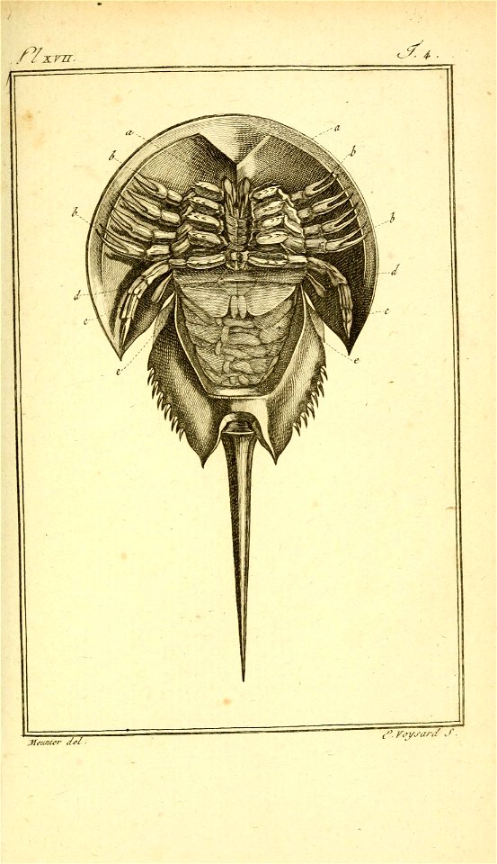 n866_w1150