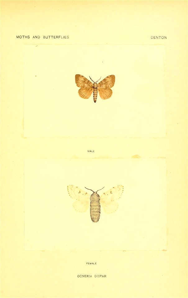 n156_w1150