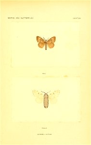 n156_w1150