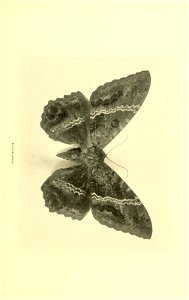 n82_w1150