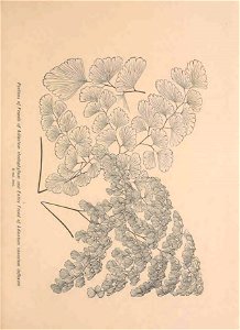 n492_w1150