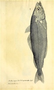 n348_w1150