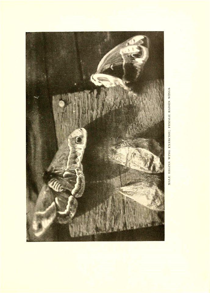 n146_w1150