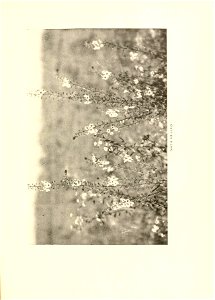 n58_w1150