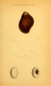 n588_w1150