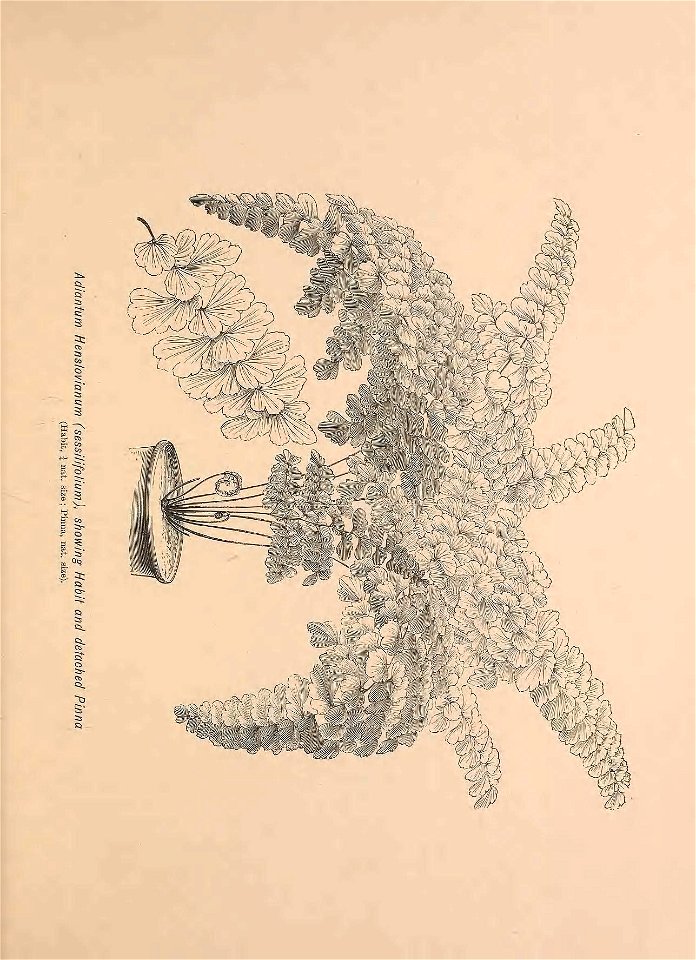 n416_w1150