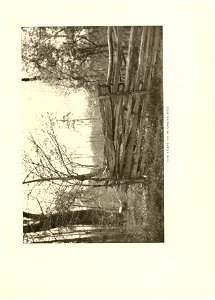 n312_w1150