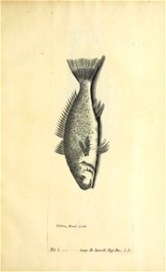 n602_w1150