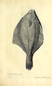 n174_w1150