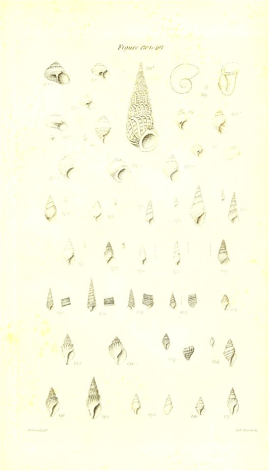 n434_w1150