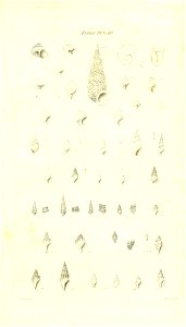 n434_w1150