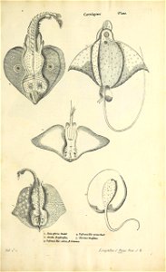 n116_w1150