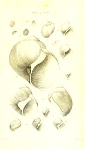 n432_w1150