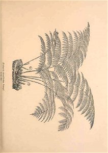 n138_w1150