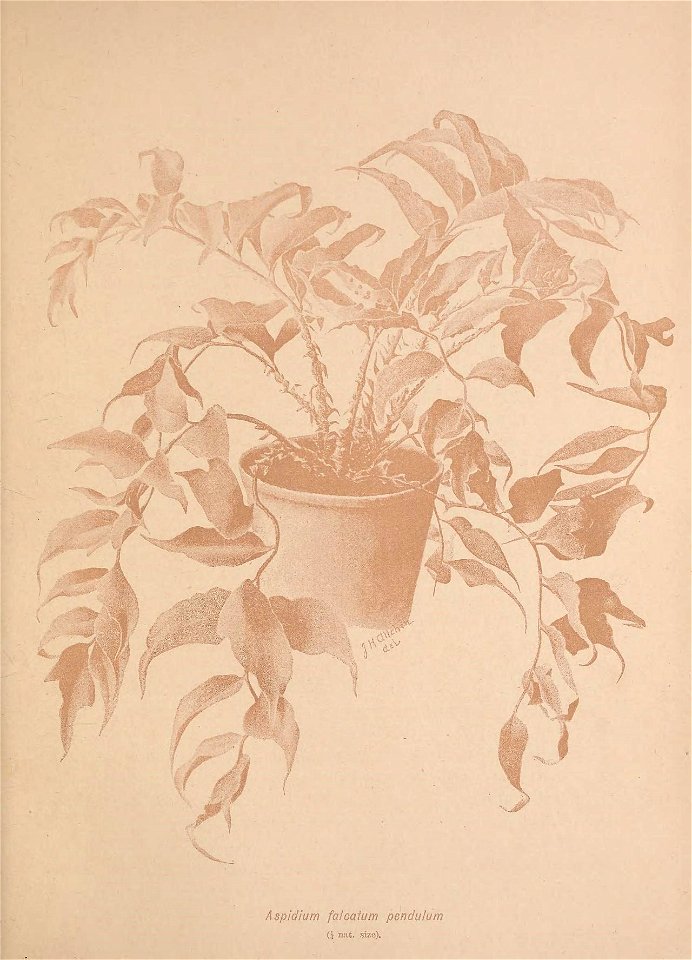 n598_w1150