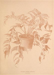 n598_w1150