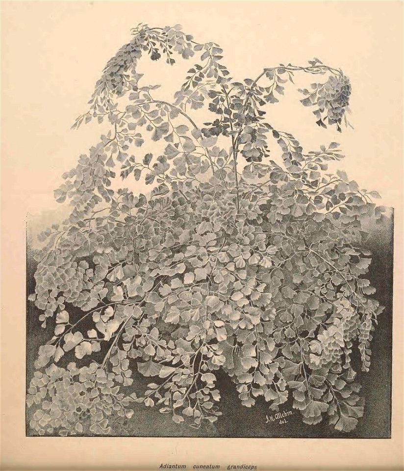 n378_w1150