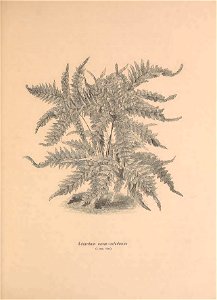 n126_w1150