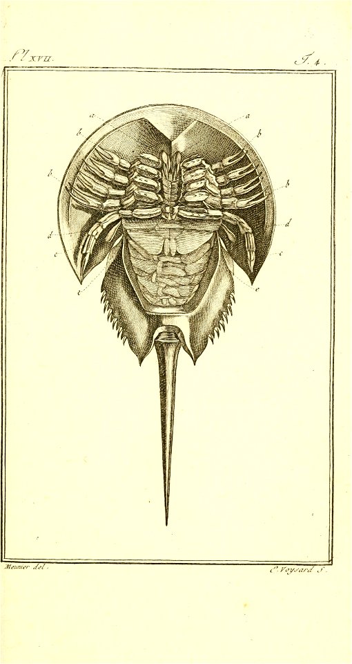 n446_w1150