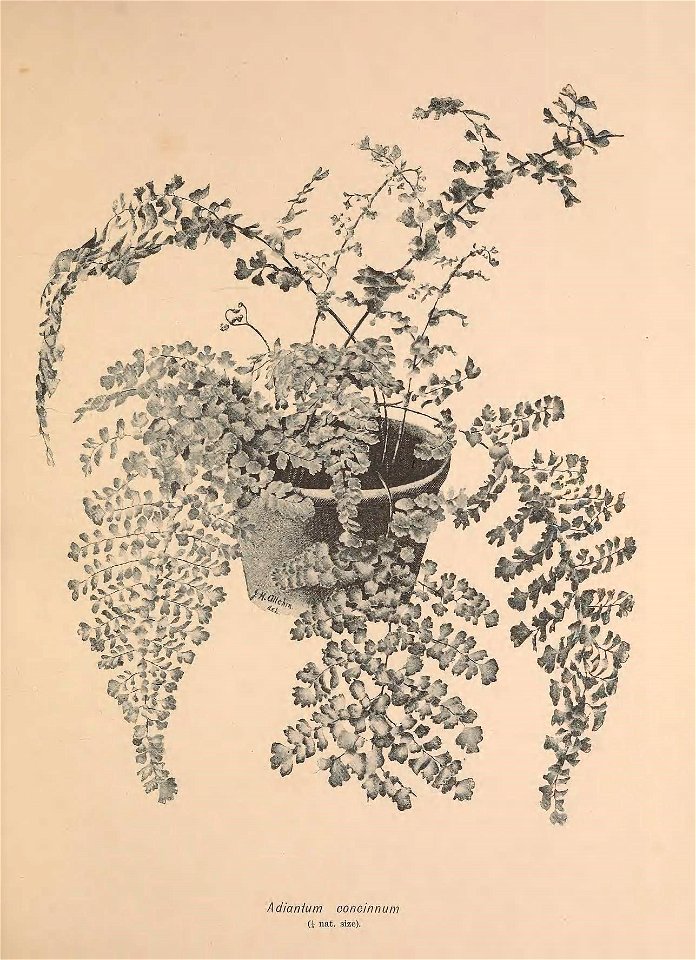 n358_w1150