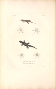 n173_w1150