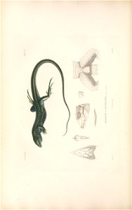 n171_w1150