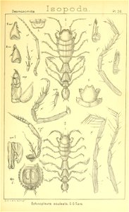 n396_w1150