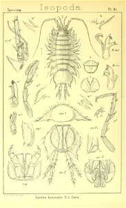n367_w1150