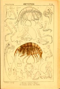 n116_w1150