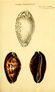 n536_w1150